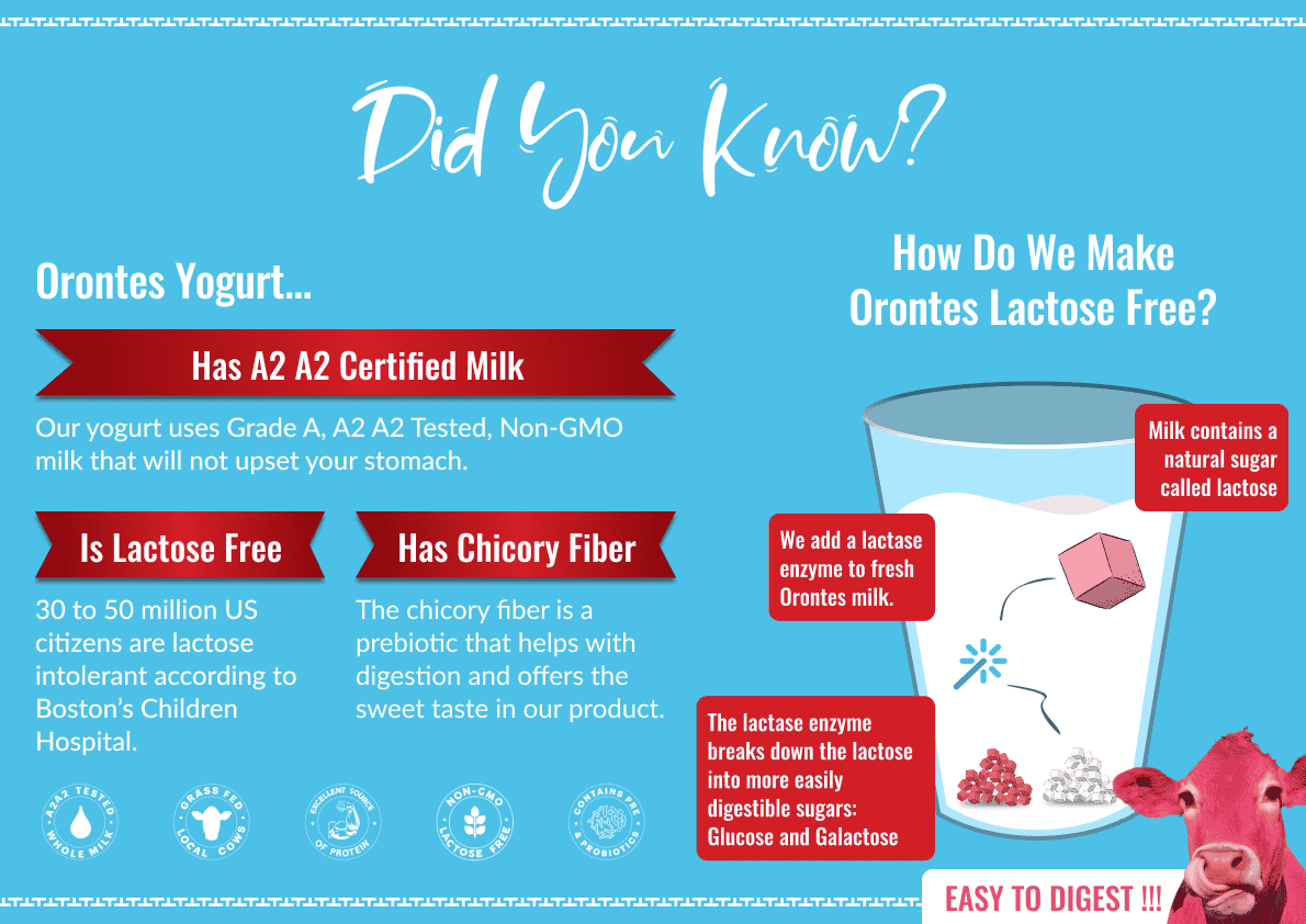 DYK 3
